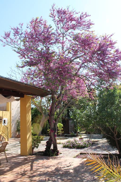 Son Estrany Vakantieboerderij